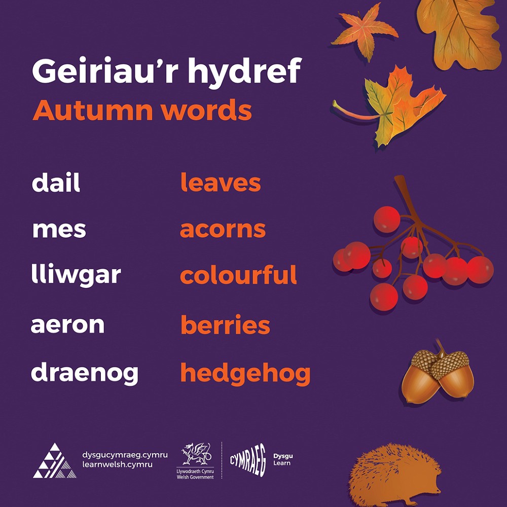 Geirfa'r Hydref poster
