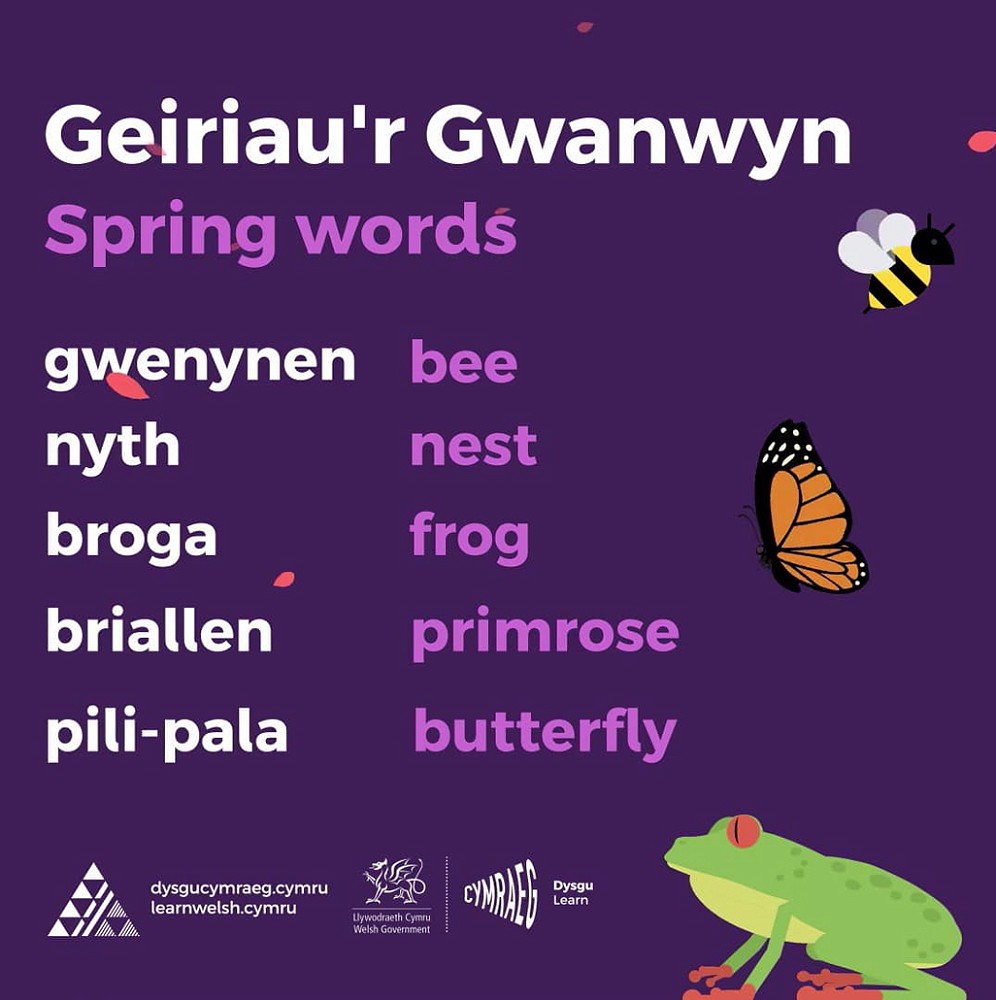 Geiriau'r Gwanwyn poster