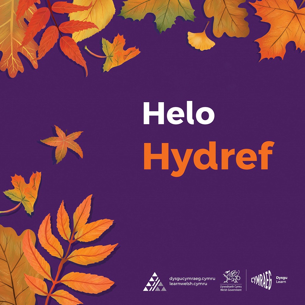 Helo Hydref poster