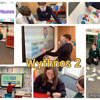 week 2 activities photos