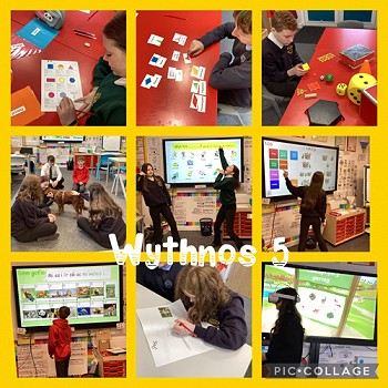 collage of the activities from week 5