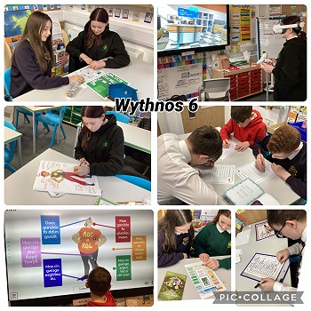 collage of images from week 6 activities