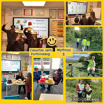 Collection of images of children in Porthmadog Language Centre learning Welsh